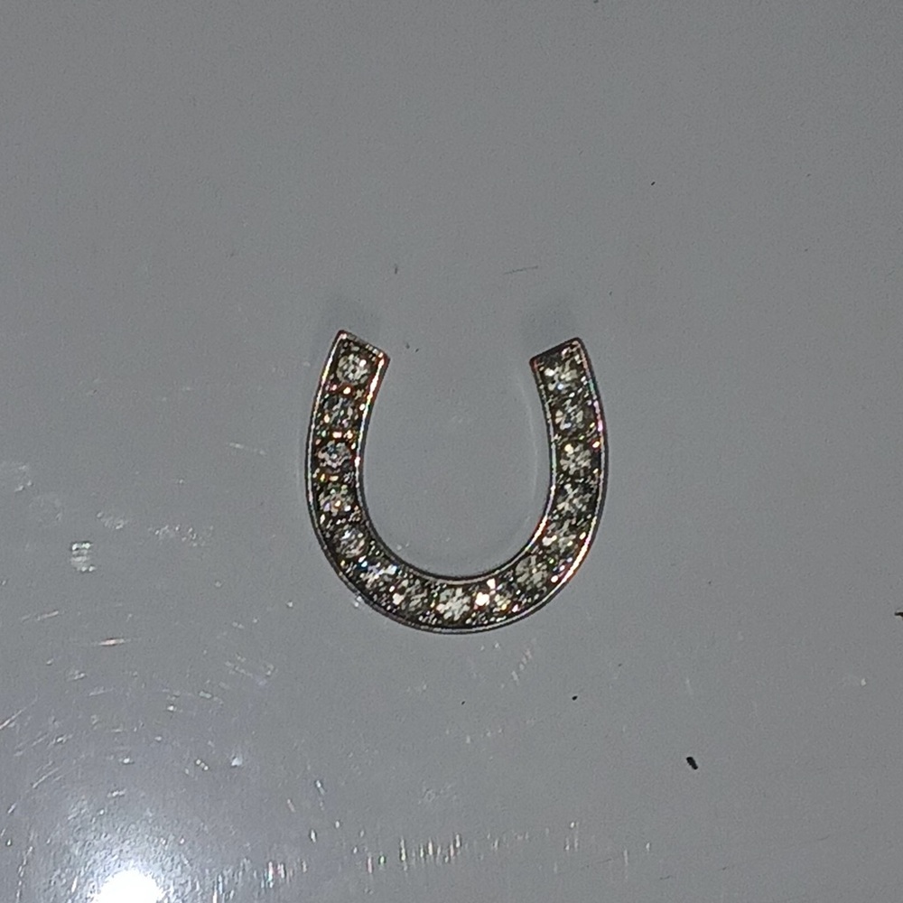 Silver Horseshoe Pendant with Crystals